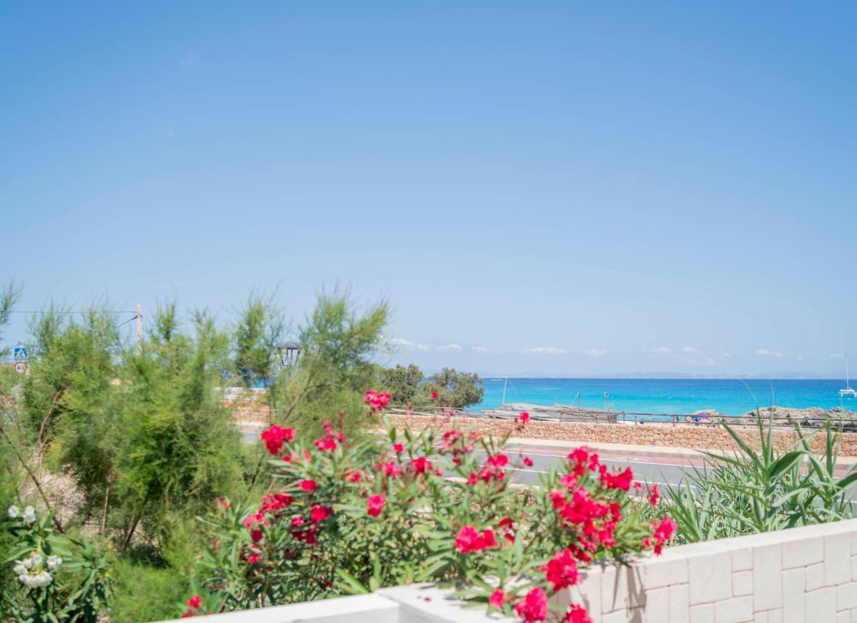 Cavall De Llevant - Formentera Break Es Calo  Dış mekan fotoğraf